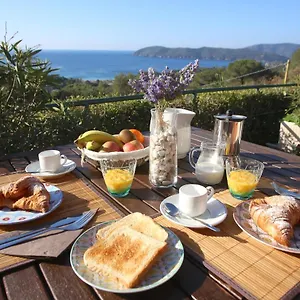 Ca' La Stella Sea-view Aparthotel Porto Azzurro